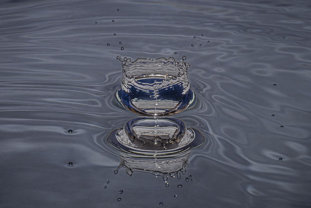 Platz 8 Anton Kienle